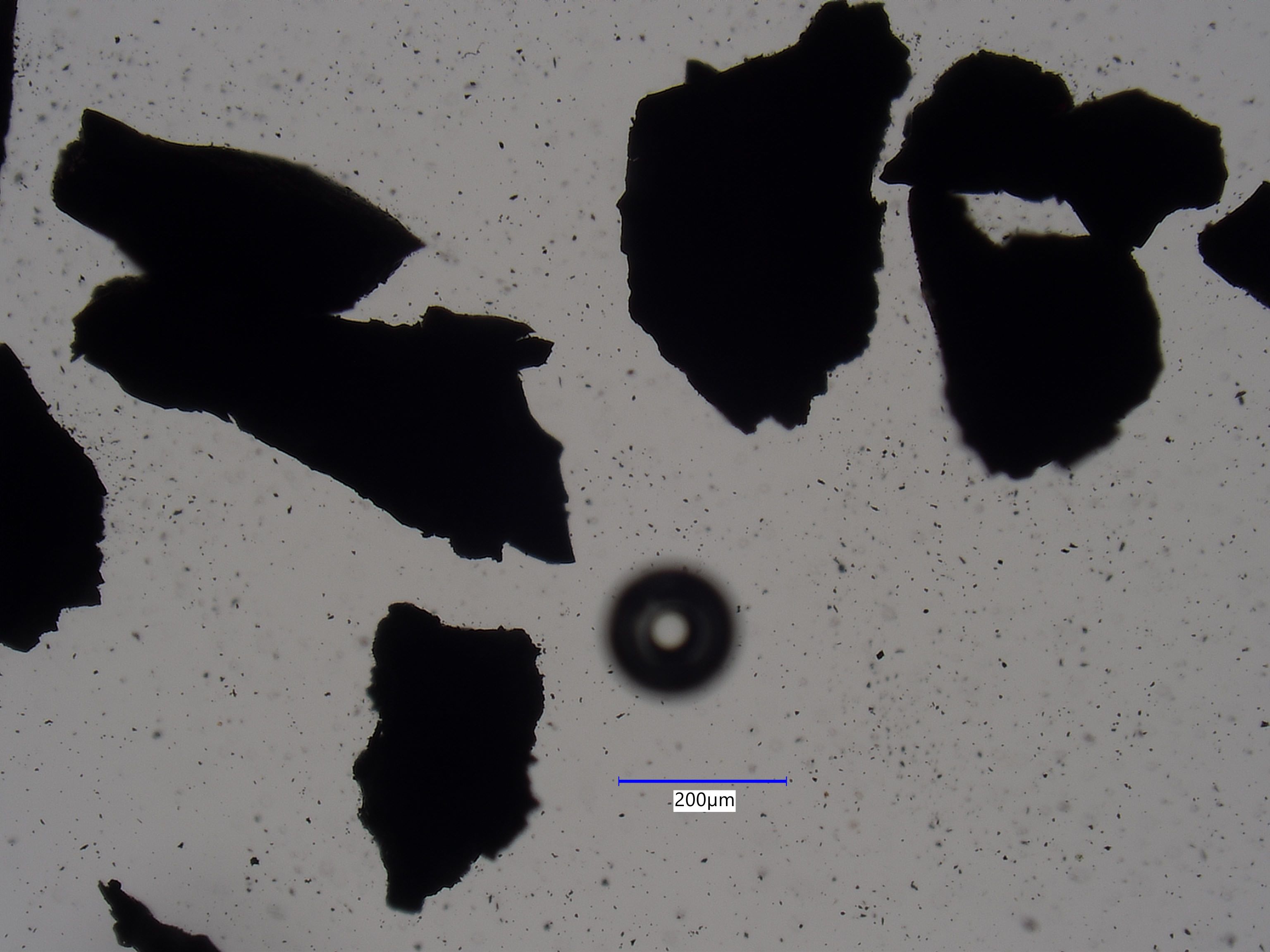 Covellite