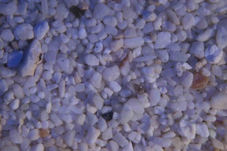Cozumel Beach Sand