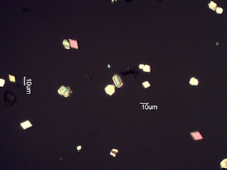 Calcium Oxalate Phytoliths