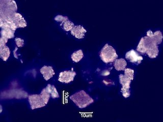 Pyrolyzed Calcium Oxalate Phytoliths