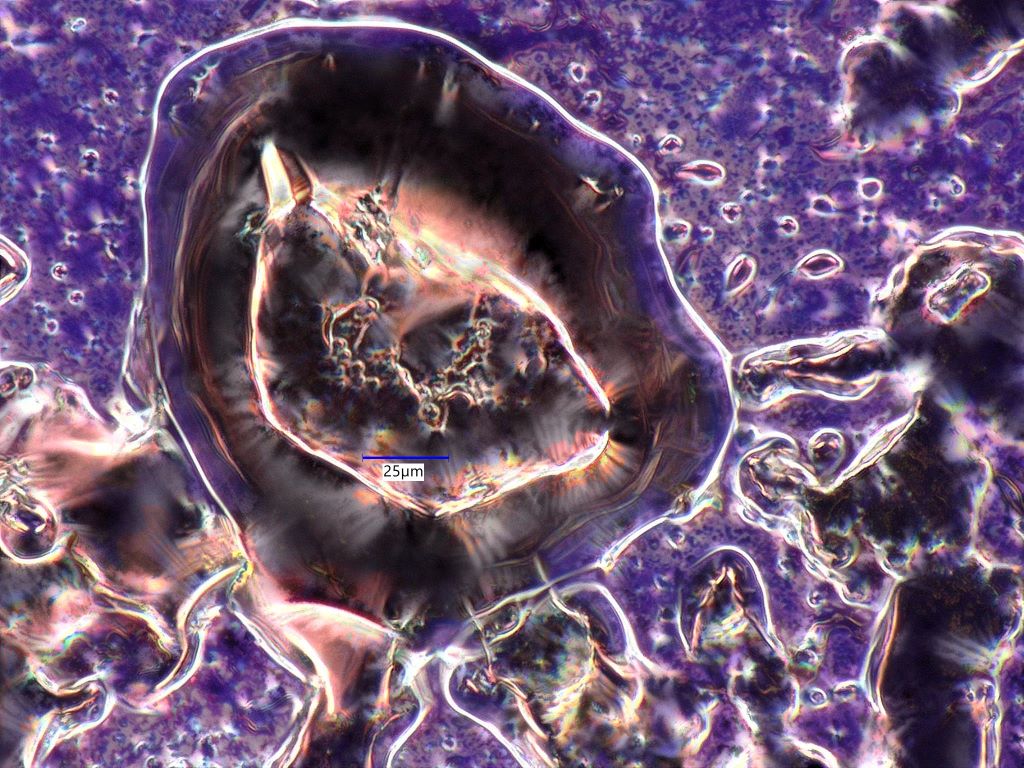 Crystal Violet Films