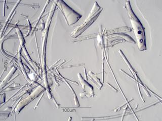 Glass Fiber With Filled Resin