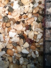 Fleming Beach Sand