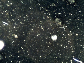 10X 0.25 NA Darkfield Image of Cleared Filter Containing Amosite