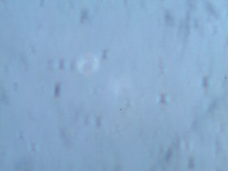 Darkfield Image of 1.9 micrometer Diffration Grating