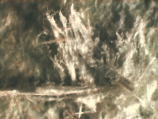 Day Creek Asbestos Sand