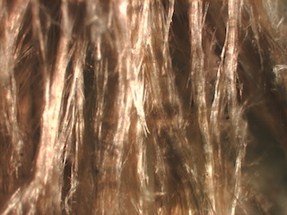 Day Creek Asbestos Sand
