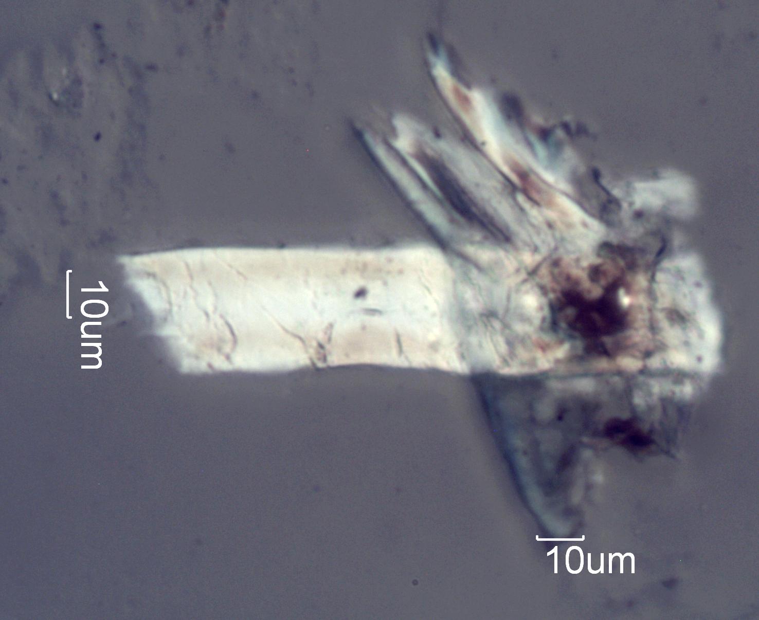 Degraded Paper Under the Microscope
