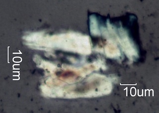 Degraded Paper Fiber