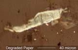 Degraded Paper