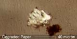 Degraded Paper