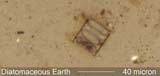 Diatomaceous Earth
