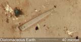 Diatomaceous Earth