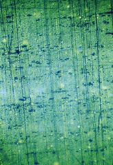 Darkfield Image of 1.9 micrometer Diffration Grating