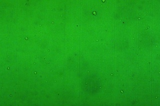 Brightfield Image of 1.9 micrometer Diffration Grating