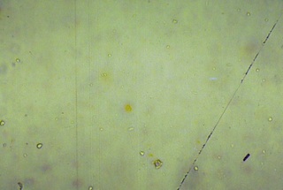 Brightfield Image of 1.9 micrometer Diffration Grating