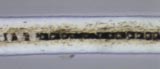 Dog Hair Near Root End
