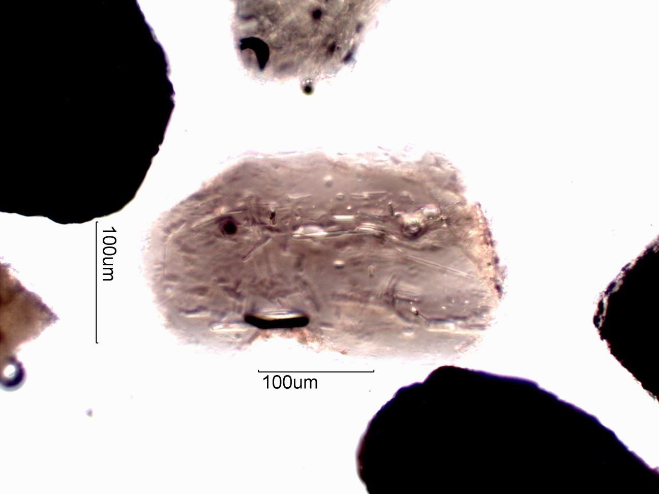Enstatite