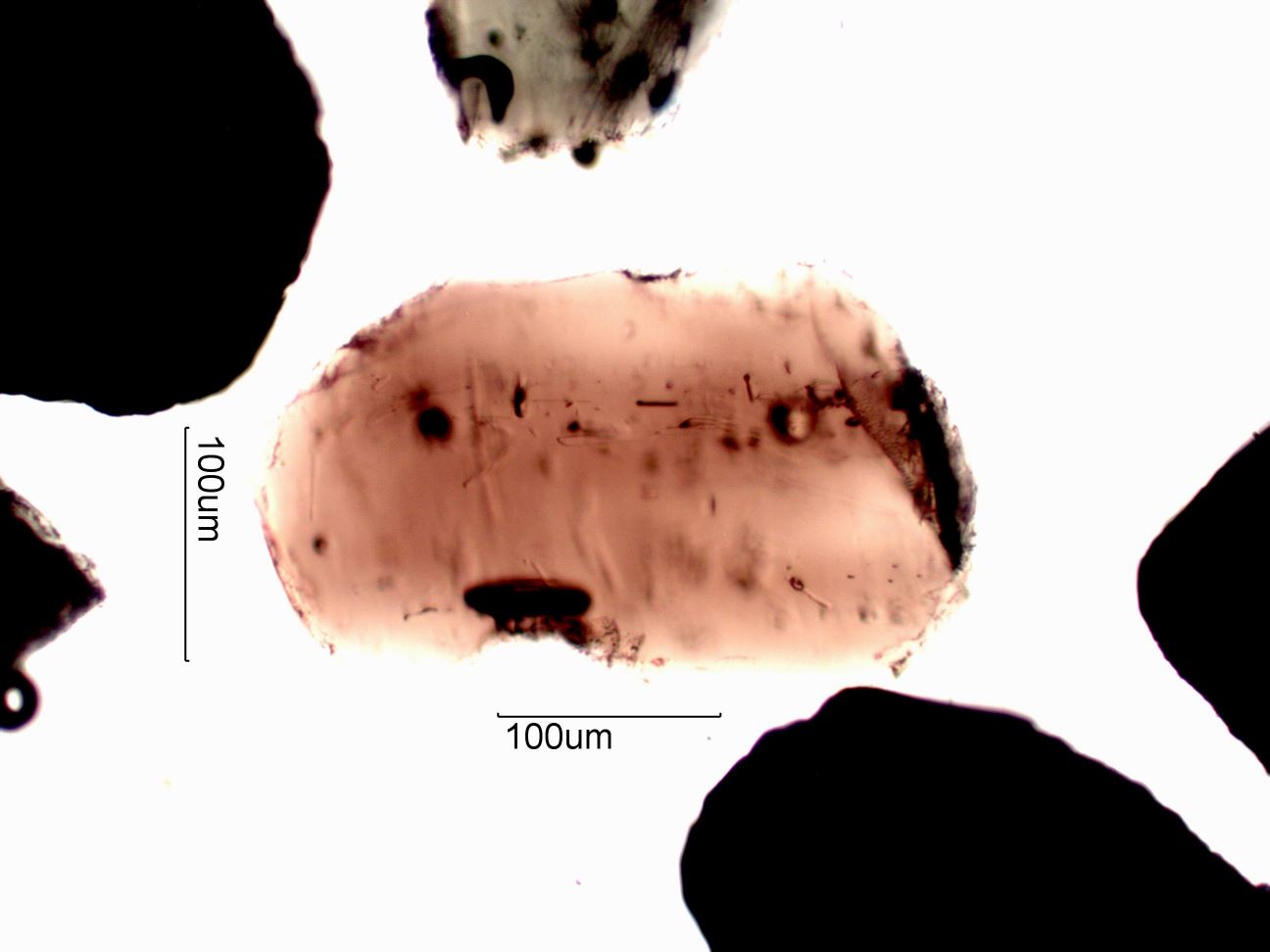Enstatite
