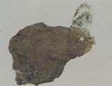 Erionite Drain OR
