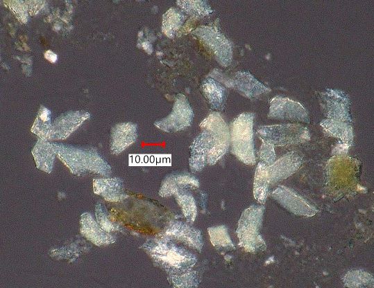 Eucalyptus Leaf Ash