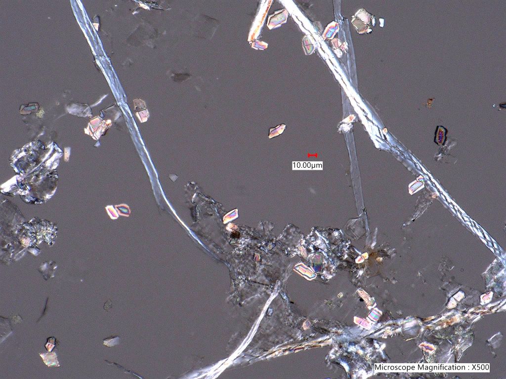 Eucalyptus Leaf Phytoliths