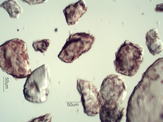 Sand from Fay Canyon, Sedona, Arizona