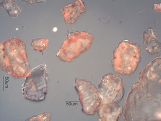 Sand from Fay Canyon, Sedona, Arizona