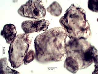 Sand from Fay Canyon, Sedona, Arizona