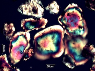Sand from Fay Canyon, Sedona, Arizona