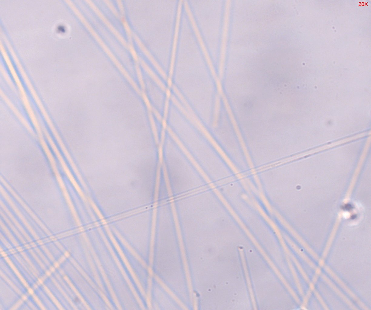 Dispersion Staining