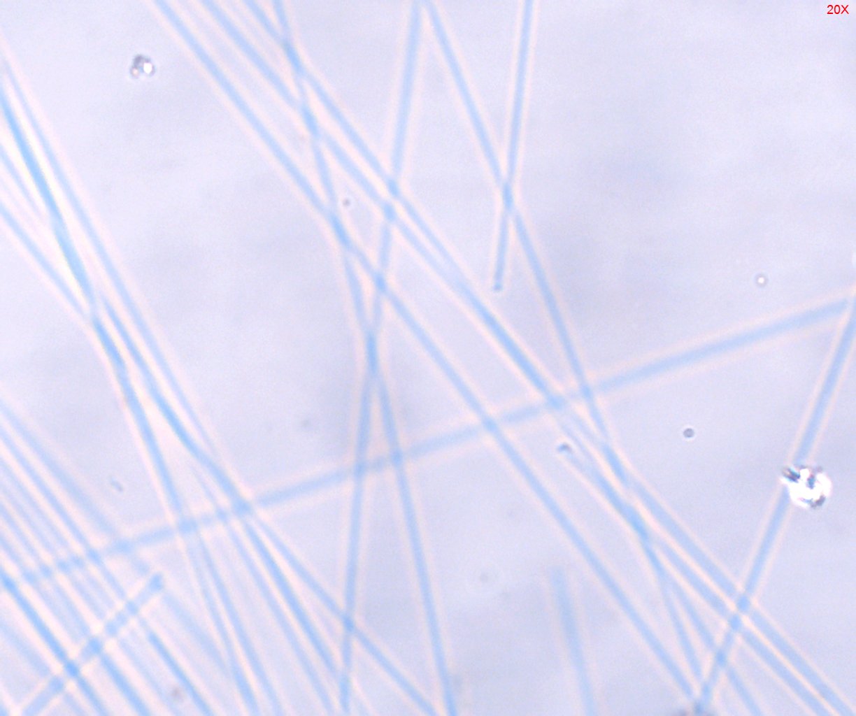 Dispersion Staining
