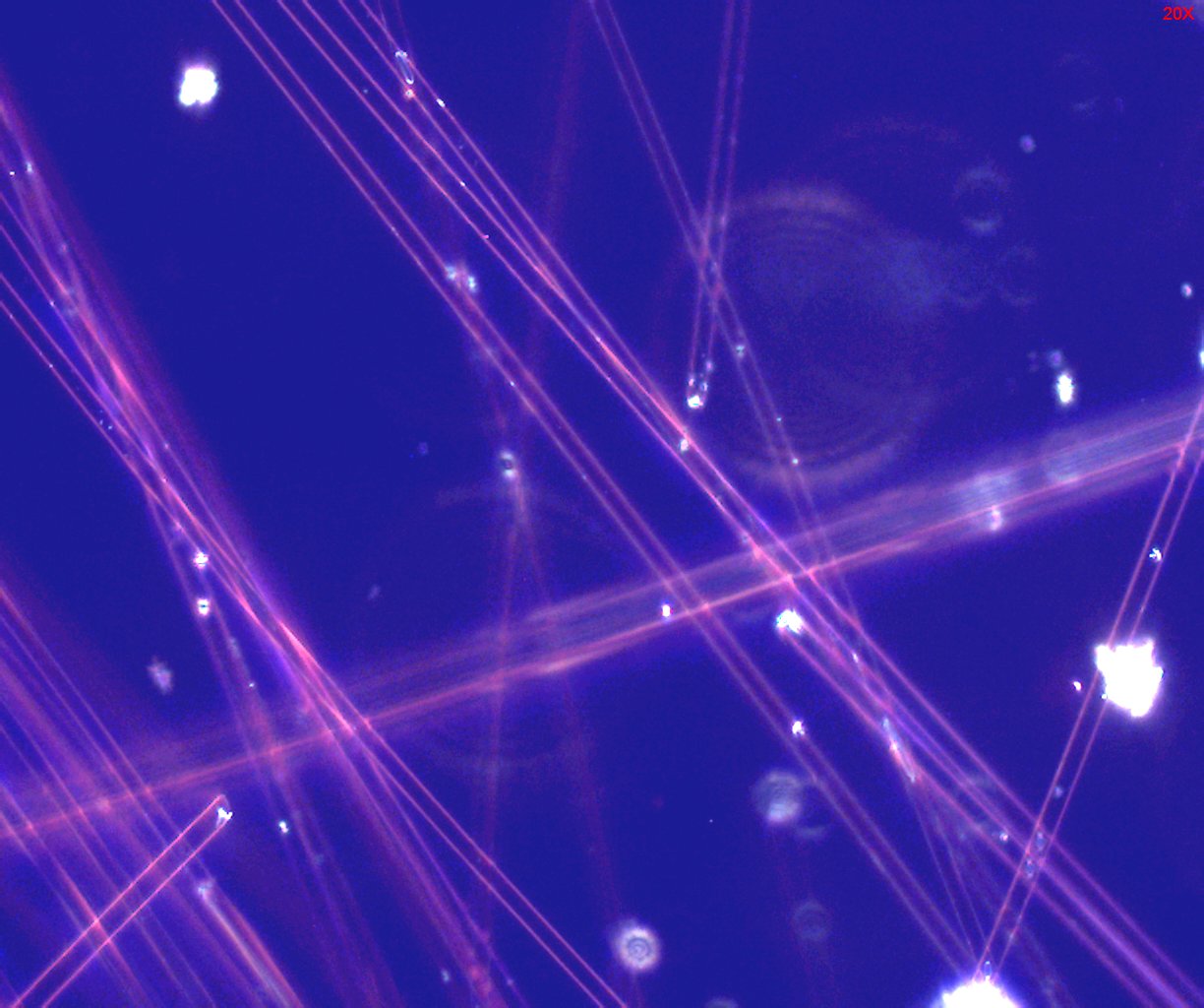 Dispersion Staining