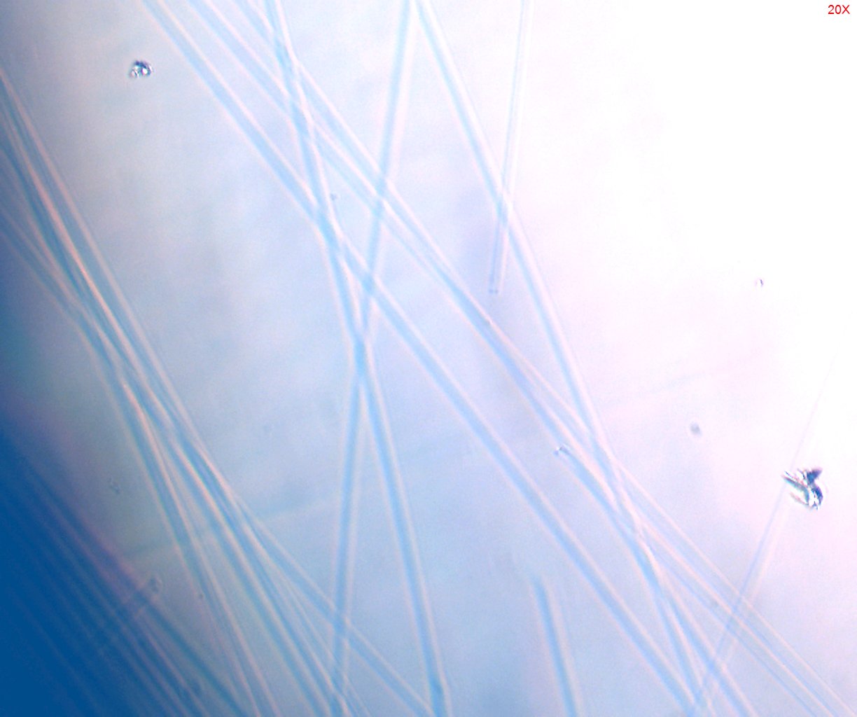 Dispersion Staining