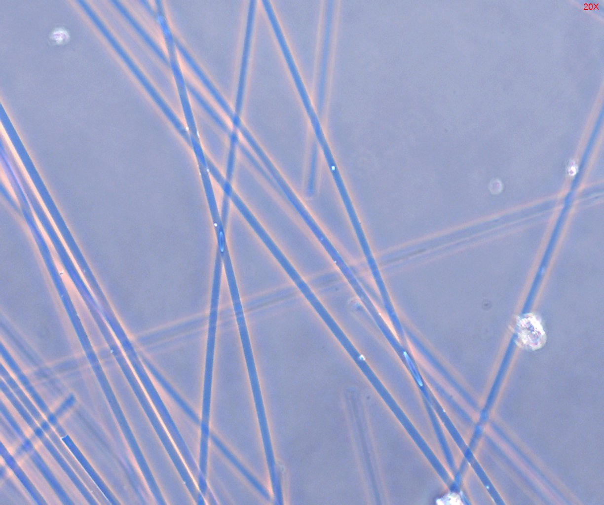 Dispersion Staining