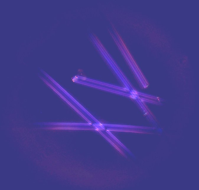 Dispersion Staining