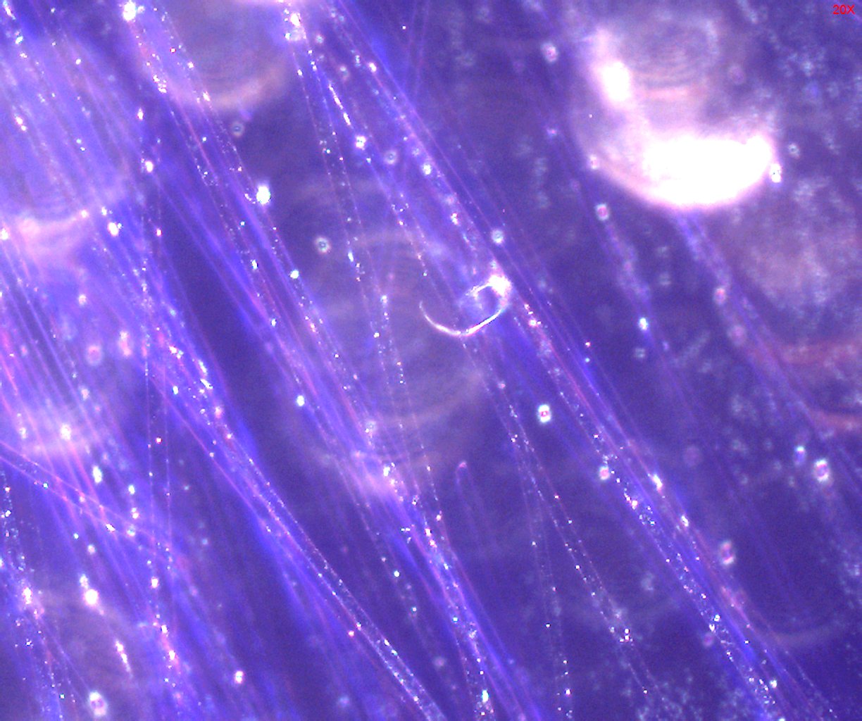 Dispersion Staining