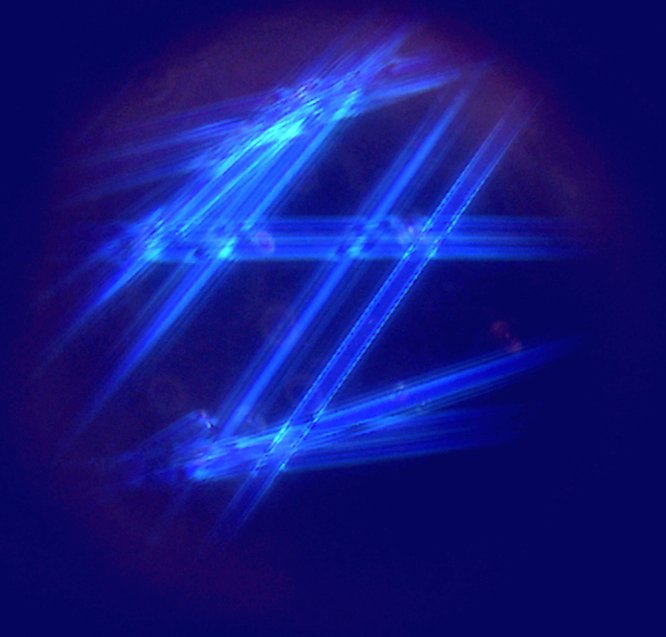 Dispersion Staining