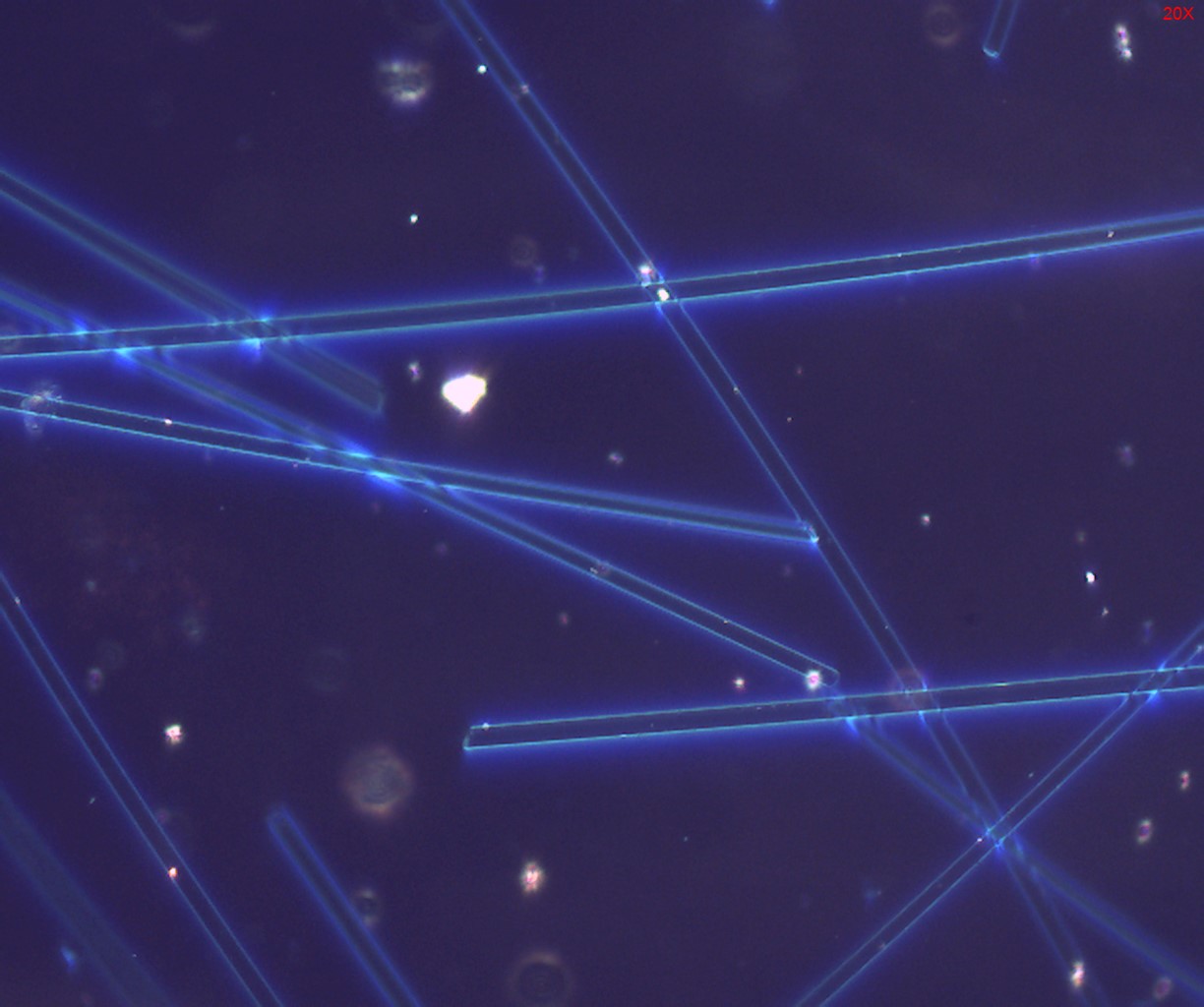 Dispersion Staining