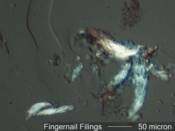 Fingernail Filings
