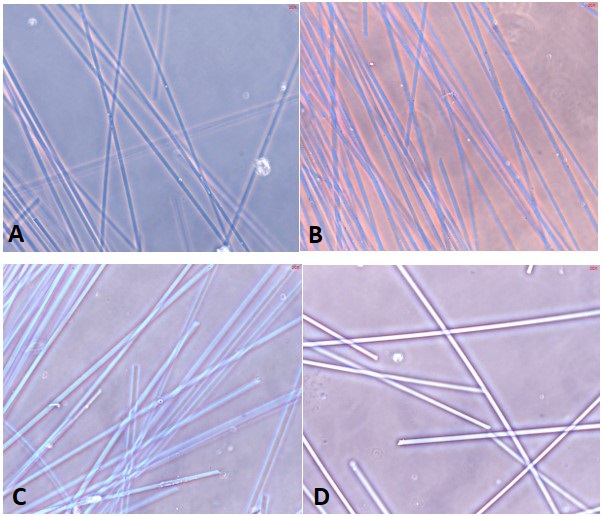 Dispersion Staining