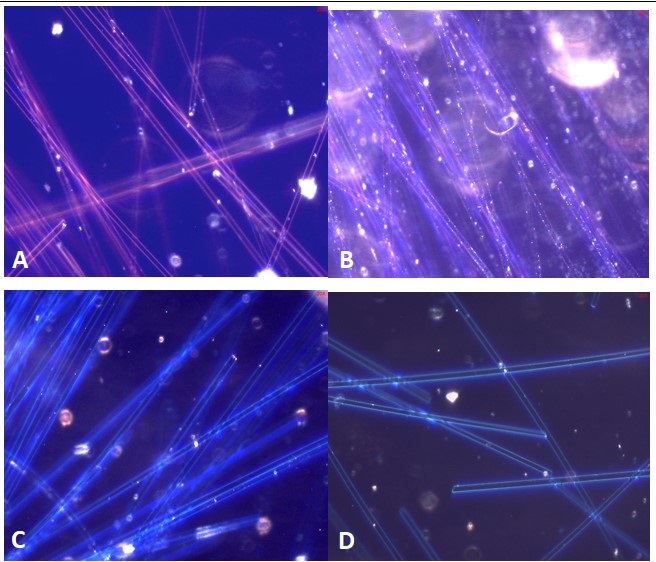 Dispersion Staining