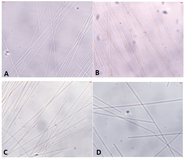 Dispersion Staining