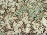 Flint Bar Cross-section