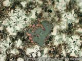 Flint Bar Cross-section
