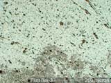 Flint Bar Cross-section