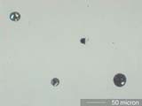Cleaning Agglomerate