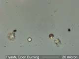 Flyash