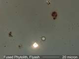 Flyash
