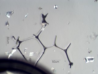 Open Cell Foam
